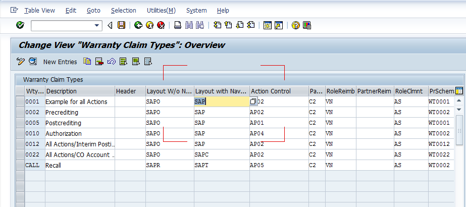 apic warrants in cashflows